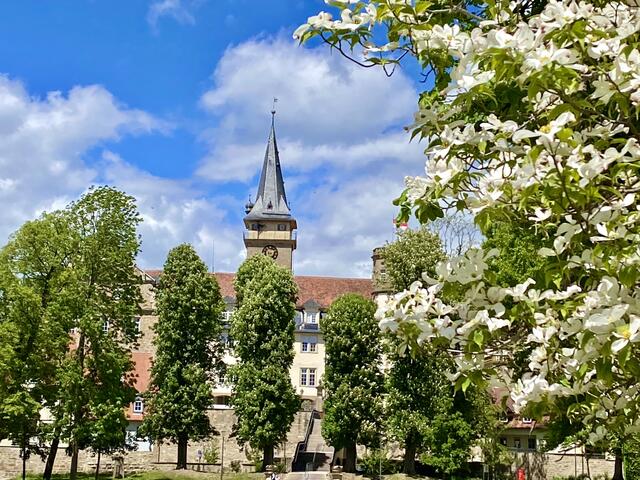 Öhringen