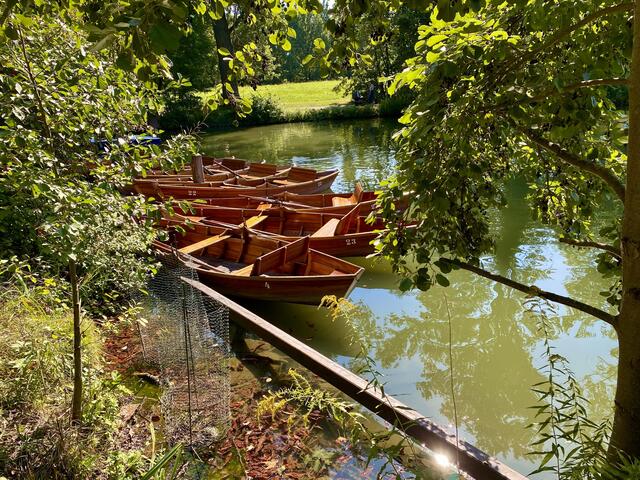 Monrepos Ludwigsburg