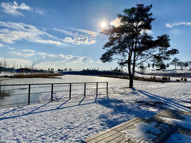 Neckarbogen