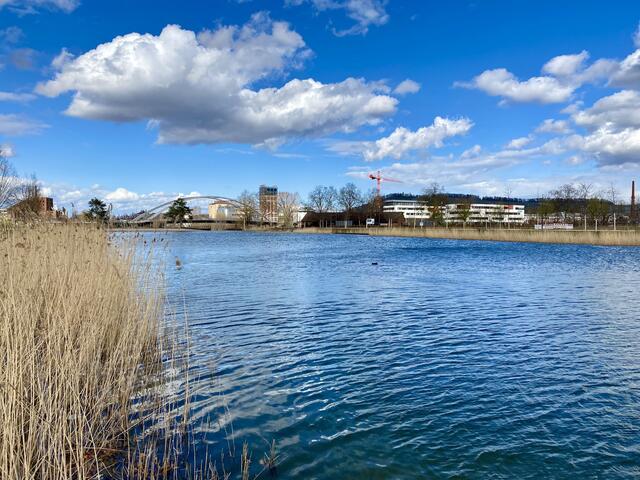 Neckarbogen