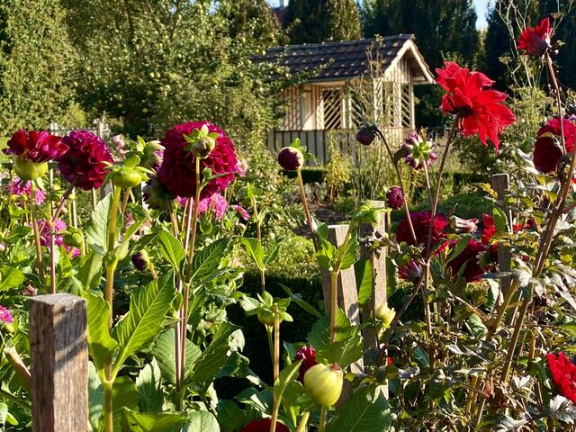 Botanischer Obtsgarten
