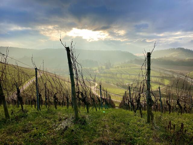 Ausblick vom Schemelsberg