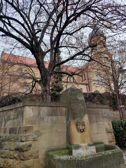 Dieser Brunnen befindet sich unterhalb der Kirche St. Martinus. Hier stand früher das alte Rathaus außerhalb der Mauer von 1400 die den Kern des Deutschen Ordens begrenzte. Dieser Kern wird heute "Auf dem Bau" genannt. | Foto: Aurelia Kling
