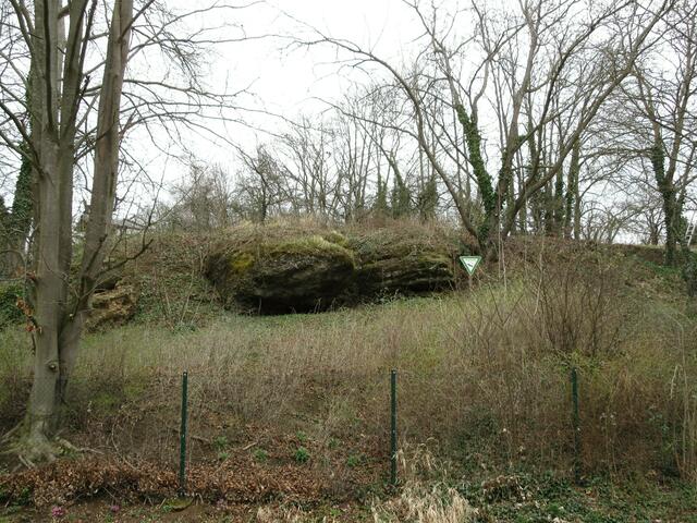 Archivbild von 2017, hier erkennt man zwei der 6 Felsen in die das Naturdenkmal zerklüftet ist.