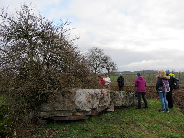 Die Neckar-Enz-Stellung verlief von Eberbach bis Besigheim über 86 km mit 450 Bunker. Das sind im Schnitt unglaubliche 190 m Abstand... also nicht verwunderlich, das wir gleich darauf den nächsten fanden. | Foto: Aurelia Kling