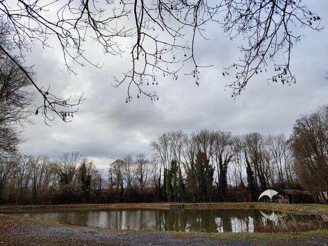 Am Sontheimer Teich haben wir der Gruppe von den schönen Teichfesten in früheren Jahren erzählt. Der Fotografin gelang hier ein romantisches Bild | Foto: Aurelia Kling
