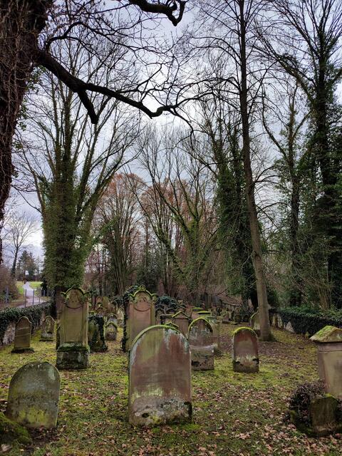 Israelitischer Friedhof auf der Grenze zwischen Sontheim und Horkheim. Es wurden auch Talheimer hier bestattet. | Foto: Aurelia Kling