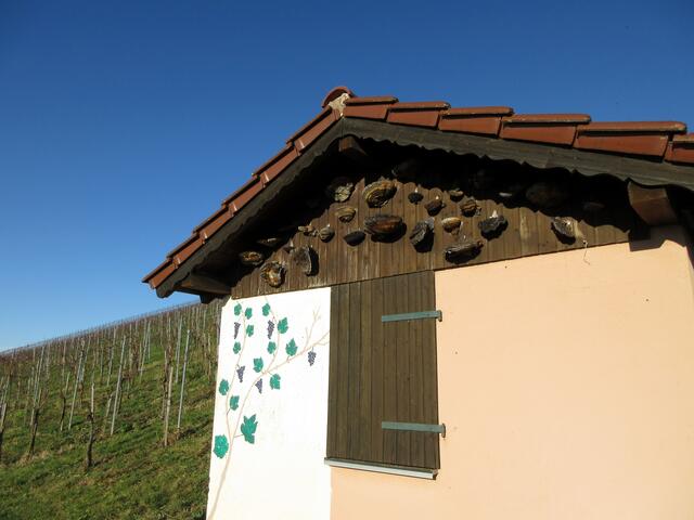 Speziell in dieser Gegend, stehen viele und vor allem sehr schön gepflegte Weinberghütten, hier ein mit Pilzen geschmückter Giebel