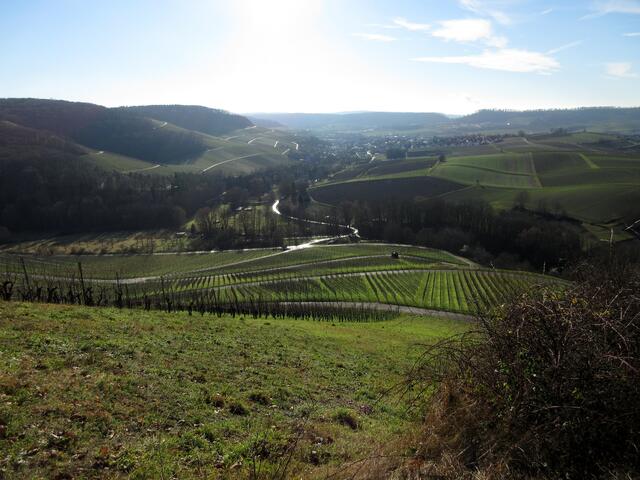 Erlenbachtal vom Sommerberg aus
