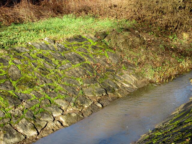 Erlenbach
