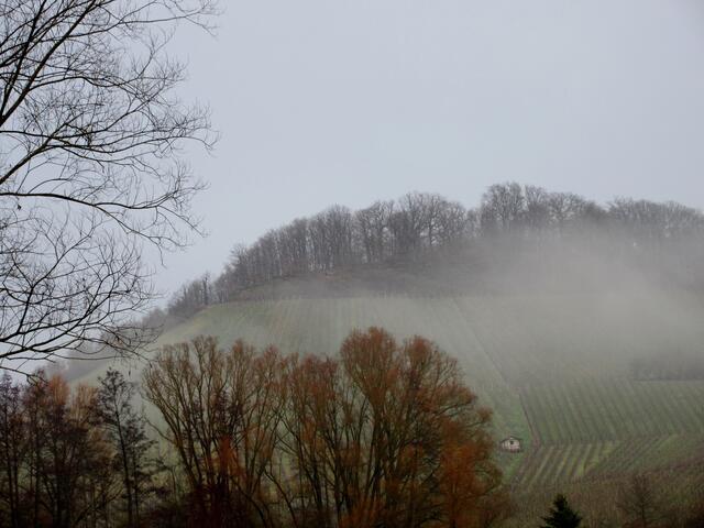 Der Sommerberg im Nebelkleid, ganz anders als am Freitag.