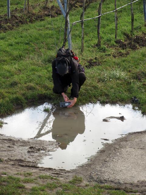 Und während die Fotografin über der Pfütze hängt