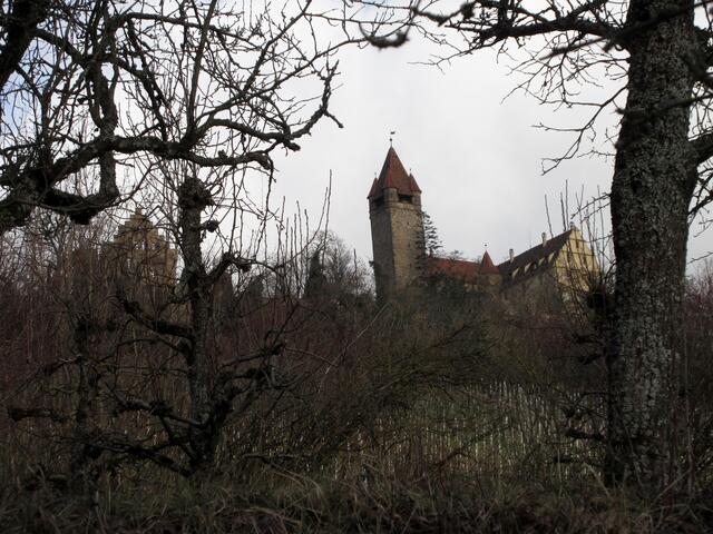 Vom Fischteich am Wurmbach aus, sieht man auch den kleinen Turm im Innenbereich