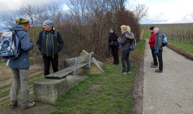 Das Schmetterlingsbänkle