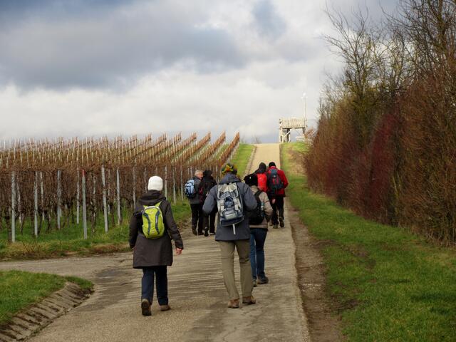 und nochmal kurz hinauf zur Aussichtsplattform