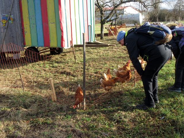 Und wo d' Gaby Fische ausmisst, betätigt sich de Erich als "Hühnerflüsterer". Die legten gestern bestimmt besonders schöne Eier.