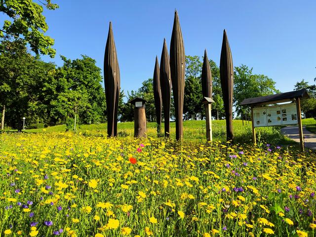 Die ungewöhnlichen Bienenwohnungen stehen in einem Meer bunter Wildblumen - beste Nahrungsquelle für die Bienen und andere Insekten.