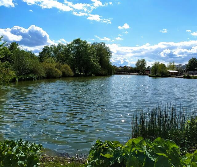 Es ist Frühling am Kurparksee
