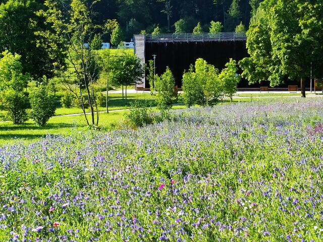 Unten im Park steht das 30 m lange Gradierwerk, an dem salzhaltige Luft geatmet werden kann. Davor eines von mehreren Wildblumenbeeten.