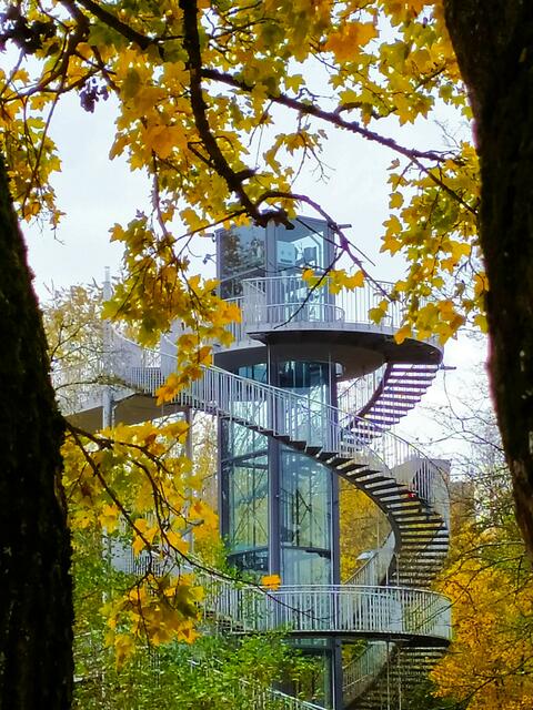 Der Lichtturm durch das Herbstlaub gesehen