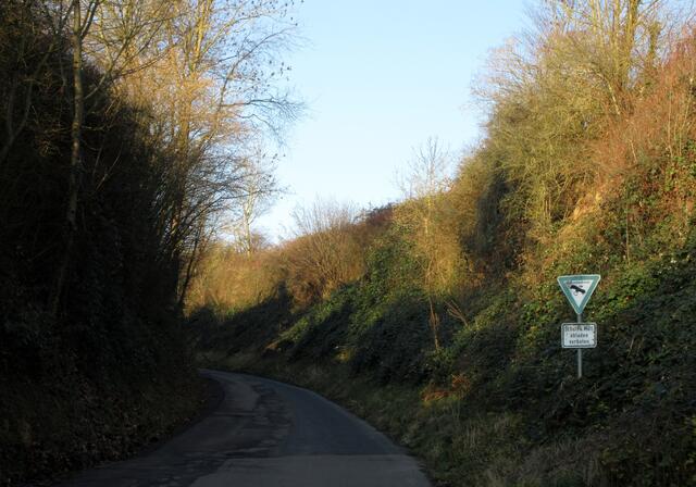 Die Stadtteilwanderungen führen aber meist zu einem Naturdenkmal. In Neckargartach ist das die Waldhohle.