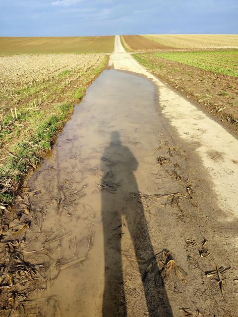 und die Kehrseite der Medaille, ein Pfützen-Selfie. | Foto: Aurelia Kling