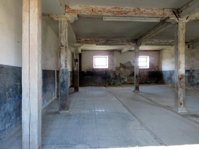 Wenn es sich auch nicht gehört... interessant ist es schon in die leeren Stallungen zu schauen. Historische Zeugnisse. | Foto: Aurelia Kling