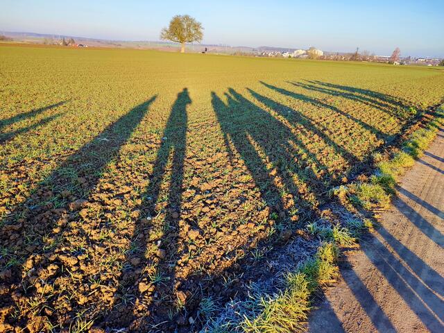 Die Wintersonne steht tief und wirft lange Schatten | Foto: Aurelia Kling