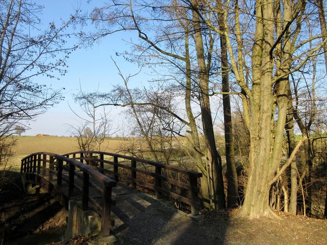 Die Brücke am Pfauenhof
