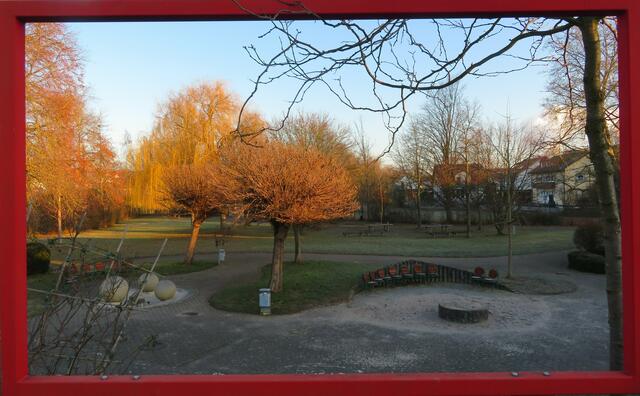 Die Morgensonne in Frankenbach | Foto: Aurelia Kling