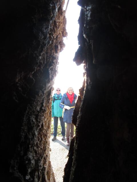 Dabei kann man vom Innern des Baumes die Teilnehmer fotografisch erwischen