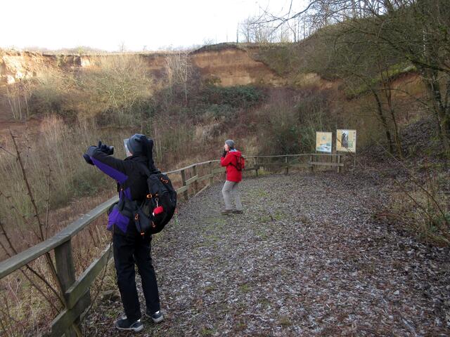 Die Plattform beim Frankenbacher Schotter bietet einen guten Überblick über das Gelände und die Schautafeln sind sehr informativ.