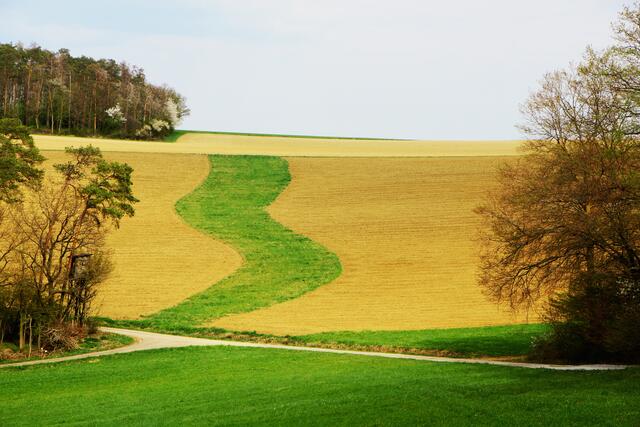 Der Weg nach Oberginsbach