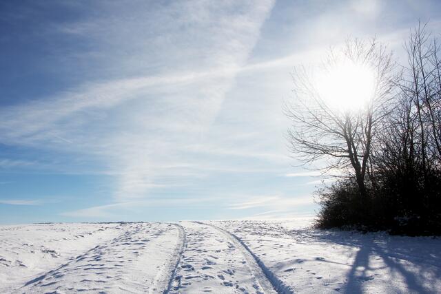 Winter-Wunder-Land Oberginsbach