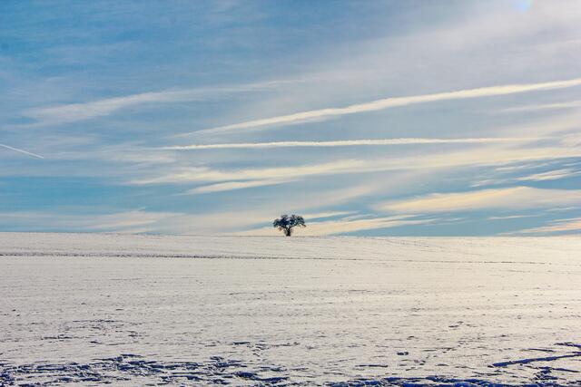 Winter-Wunder-Land Oberginsbach