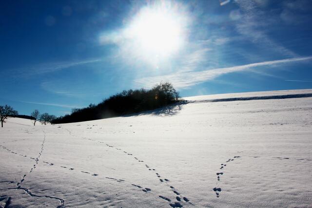 Winter-Wunder-Land Oberginsbach