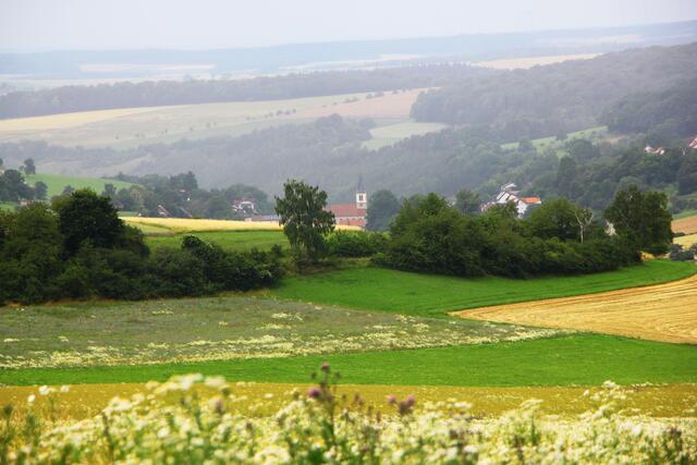 Blick auf Oberginsbach
