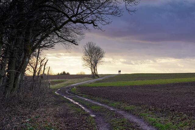 Spaziergänger am Horizont