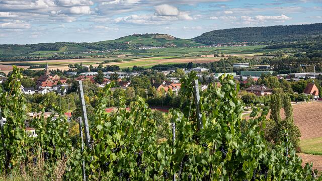 Einen wunderschönen Ausblick über das Zabergäu beschert uns Heimatreporter Erwin Weigend. Wir freuen uns auf mehr davon! | Foto: Erwin Weigend