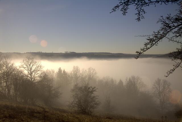 Blick auf Schöntal im Nebel