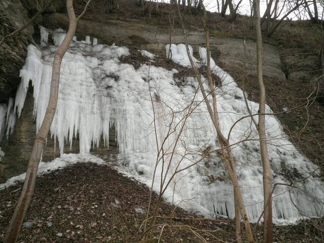 Eiswand an der Jagst bei Winzenhofen