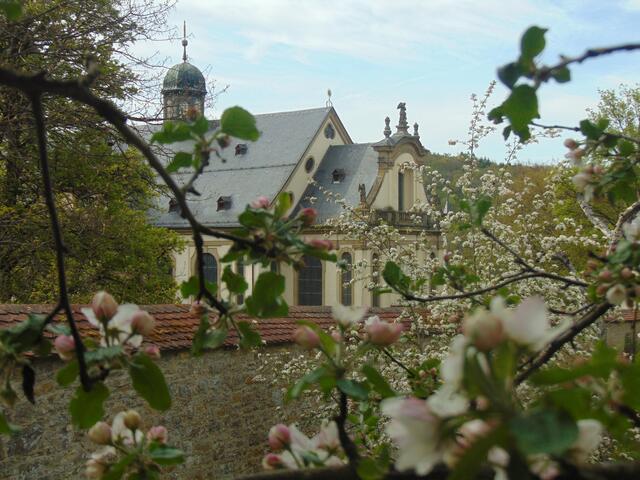 Kloster Schöntal zur Apfelblüte