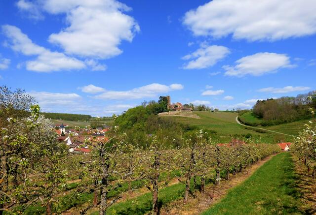 Neipperg umgeben von Obstwiesen und Weinbergen