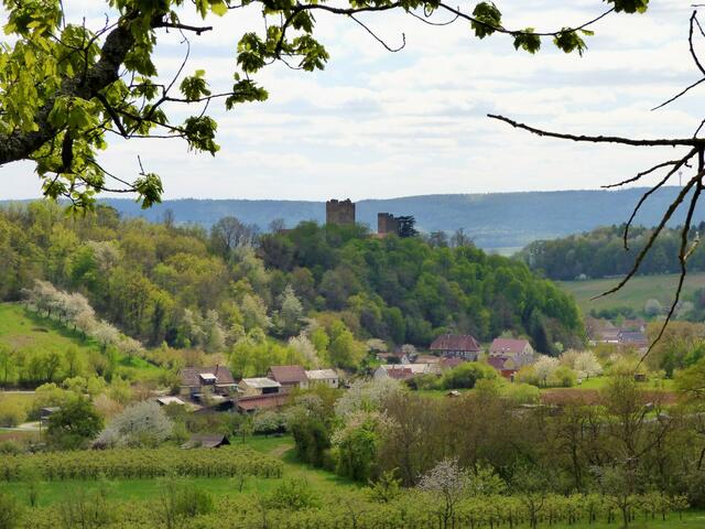 Es wird Frühling in Neipperg