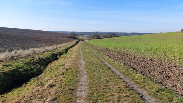 Grasweg zum Kreuzberg