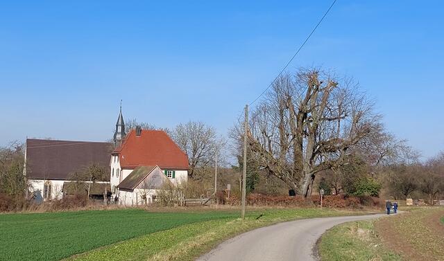 Kapelle, Forsthaus, 500-jährige Linde