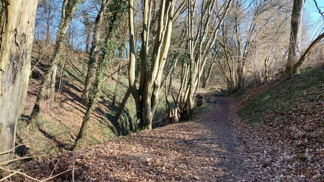 Wanderweg entlang der Klinge