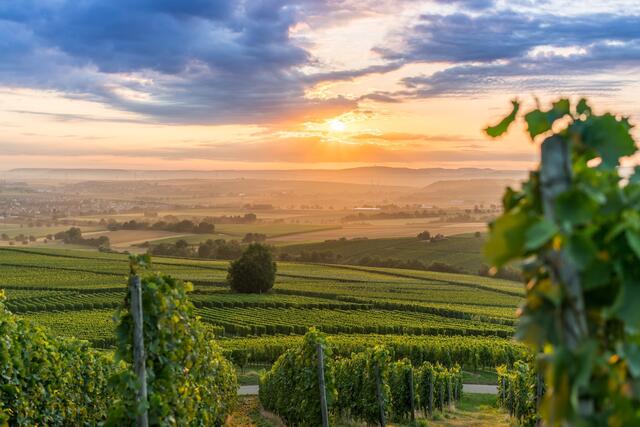 Sonnenaufgang in Botenheim am Grillplatz