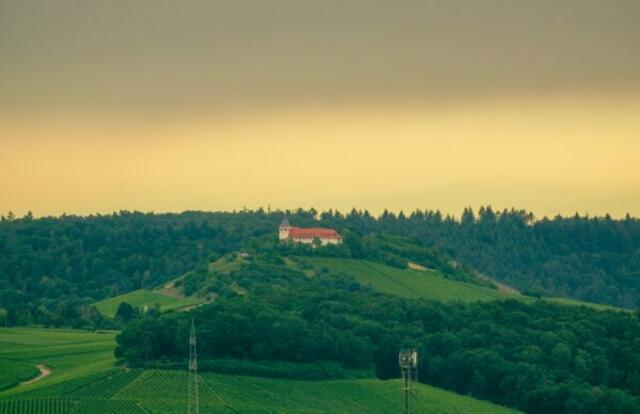 Blick auf den Michaelsberg