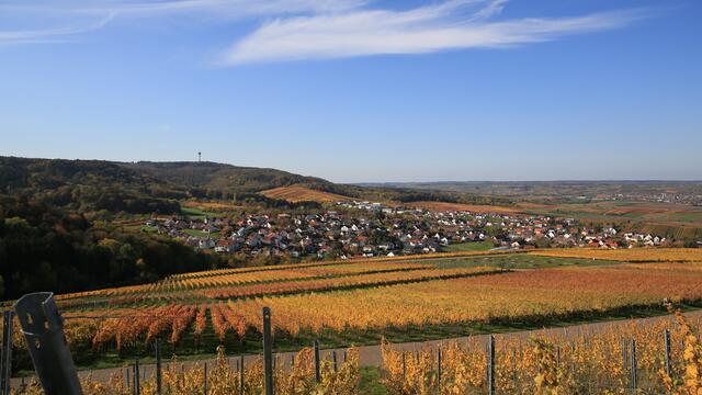 Blick vom Michaelsberg über Cleebronn